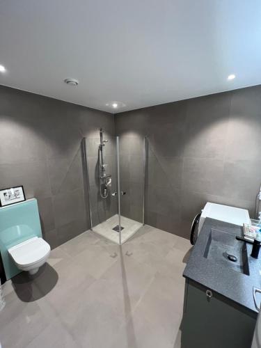 een badkamer met een douche, een toilet en een wastafel bij Villa Nordheim in Tromsø