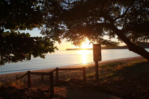 a bench under a tree on the beach with the sunset at Seaforth Holiday Units in Seaforth