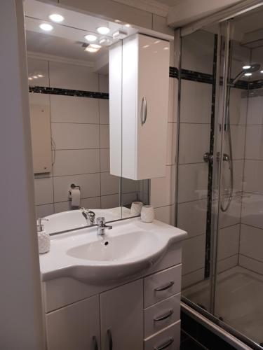 y baño con lavabo y ducha. en Moderne Wohnung in ruhiger Lage, en Stolberg