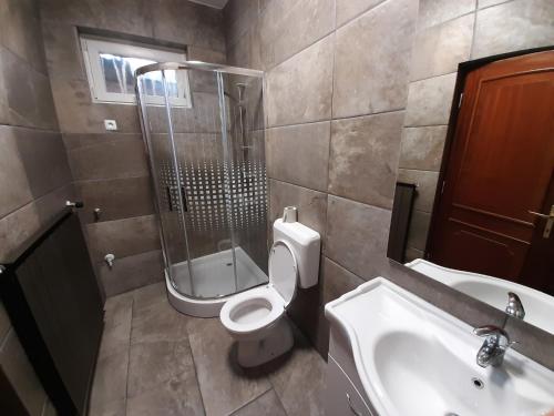 ein Bad mit einer Dusche, einem WC und einem Waschbecken in der Unterkunft 42 féröhelyes apartman in Balatonlelle