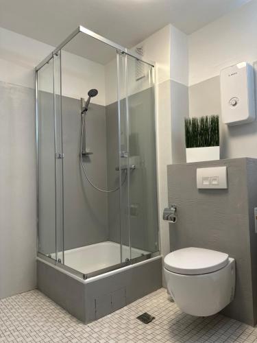 a shower stall in a bathroom with a toilet at Zentrales Apartment am Theater in Marl in Marl
