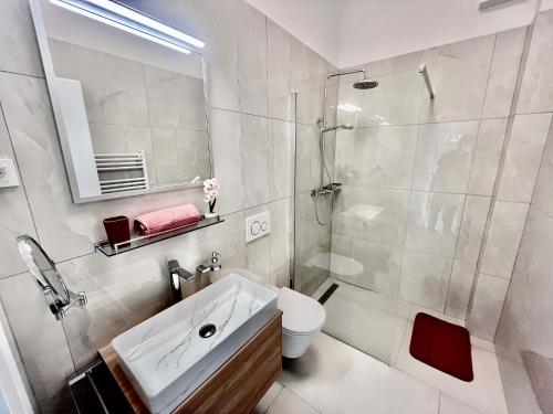 uma casa de banho com um chuveiro, um lavatório e um WC. em 4 Bedroom House On The Hill em Ljubljana