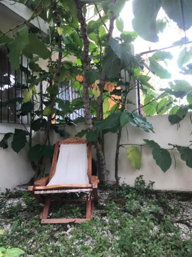 un banco junto a un árbol en un jardín en Recámara en casa estilo boho en Chiapa de Corzo