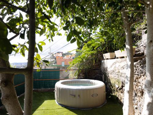 a bath tub sitting on the grass next to a tree at Live Tata Casa con jardin y vistas in Las Lagunas