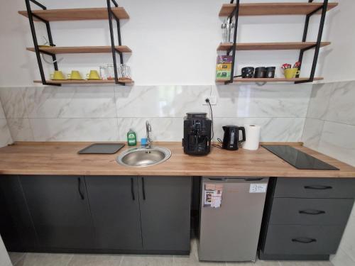 a small kitchen with a sink and a counter at Luxury Apartment IVA III in Skopje
