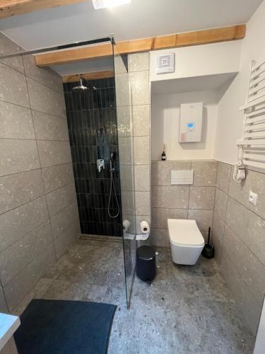 a bathroom with a shower and a toilet at Trzy Stodoły - Kraina Łąk domki całoroczne na Roztoczu in Narol