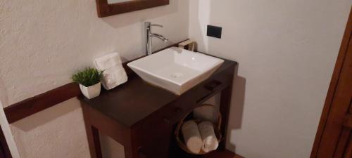 baño con lavabo y encimera con planta en Hotel el Arco en Valle de Bravo