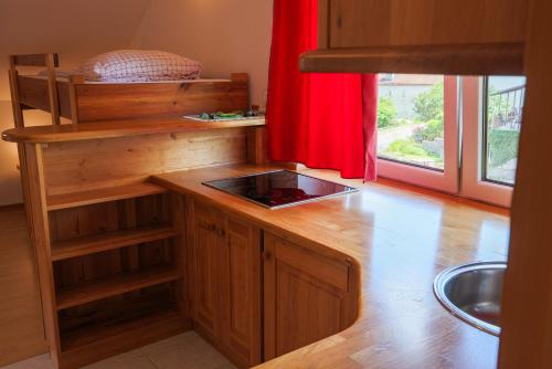 uma cozinha com um beliche e um lavatório num quarto em Domačija Malnarjevi em Villa Slavina