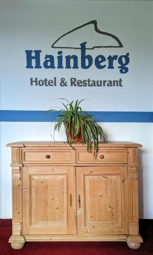 a wooden cabinet with a plant on top of it at Hainberg Hotel Garni in Habrachćicy