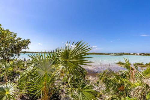 a group of palm trees on a beach with water at NEW Tropical Waterfront Cooper Jack Bay Villas in Five Cays Settlement