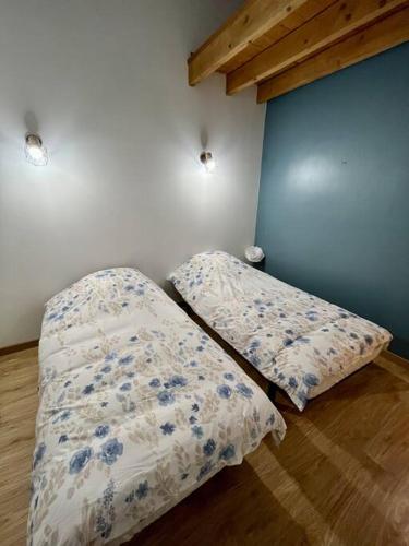 two pillows in a room with a blue wall at Maison proche CNPE in Saint-Folquin