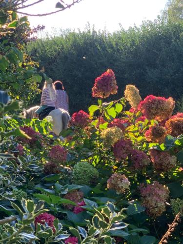 two people sitting in a garden with flowers at Ferienhof Klein in Gunzenhausen