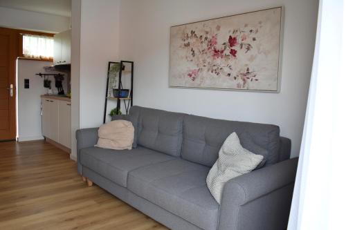 una sala de estar con un sofá gris en una habitación en MARTINUS-S SVETI MARTIN en Sveti Martin na Muri