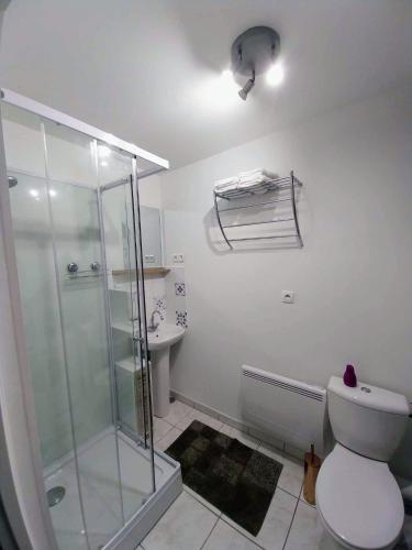 une salle de bain avec une douche, des toilettes et un lavabo dans l'établissement Le Passage Secret, à Saint-Omer