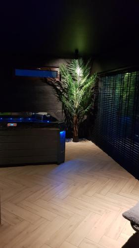 a room with a plant in the corner of a room at Apartamenty Prestige Solina - jacuzzi i sauna in Solina