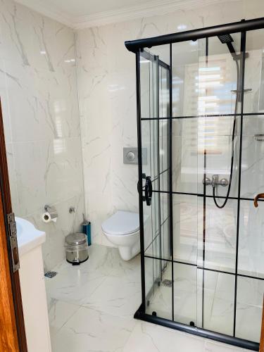 a bathroom with a toilet and a glass shower at Stylish Hotel Old City in Istanbul