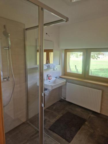 a bathroom with a shower and a sink at Oase der Ruhe in Hollersbach im Pinzgau