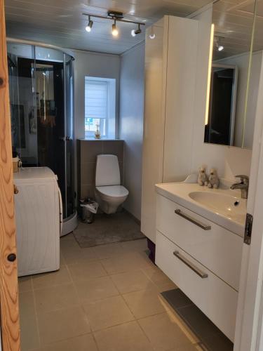 y baño con lavabo, aseo y ducha. en Hyggelig lejlighed i Sandavágur, en Sandavágur