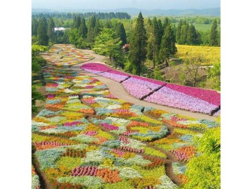 a large field of flowers in a field at Resonate Club Shape - Vacation STAY 60134v in Taketa