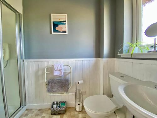 a bathroom with a toilet and a sink at Homestead Cottage, Fort Augustus in Fort Augustus