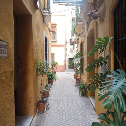 Light of Seville
