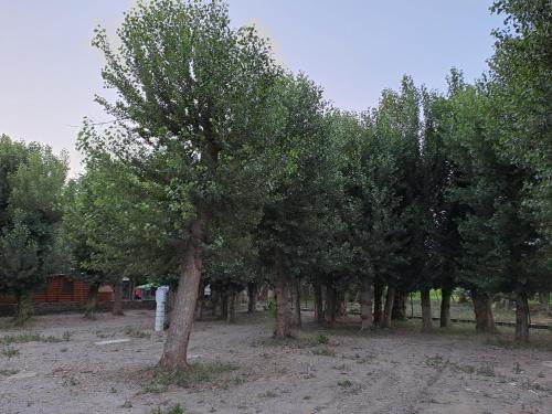 Zahrada ubytování Camping Valle del Andarax