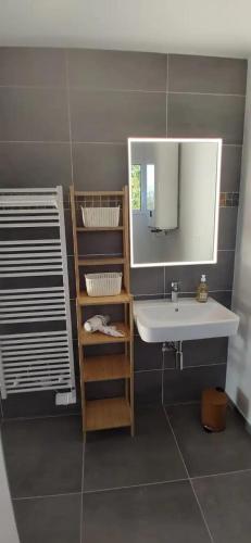 uma casa de banho com um lavatório e um espelho em Studio climatisé calme et équipé pour trois jours minimun em Saint-Gély-du-Fesc