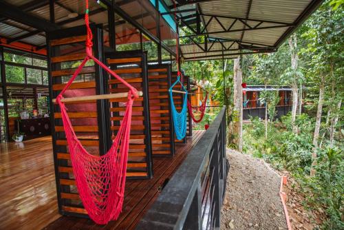 Jardín al aire libre en Selva Madre Eco-Sanctuary