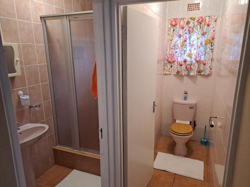 a bathroom with a shower and a toilet and a sink at M&M Self Catering in Richards Bay