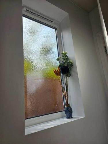 a vase with flowers sitting on a window sill at Stay Zen Apartments - Free Parking & Private Garden Ground Floor Central Woking - Business & Leisure in Woking