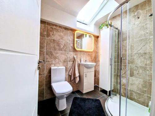 a bathroom with a toilet and a shower at Skylight Room. in Lucan