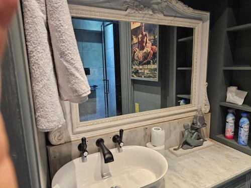 a bathroom with a sink and a mirror at Shoreditch Heights- Central ground floor apartment in Exeter