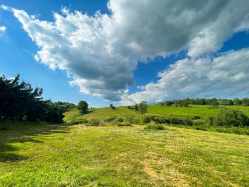 a field of green grass with a cloudy sky at Domek Basiagówka in Lipie