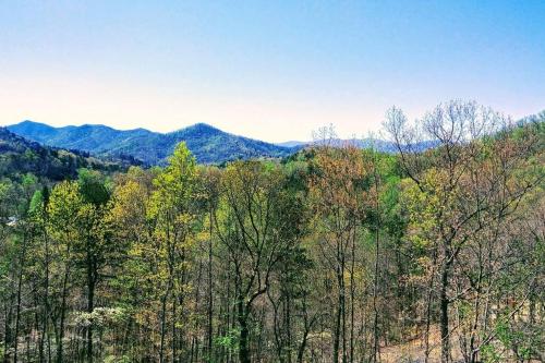 a forest of trees with mountains in the background at Peace of Heaven ~ Modern Chic Cabin w/ Majestic Mountain Views in Bryson City