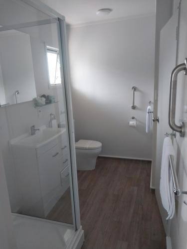 a bathroom with a toilet and a sink and a shower at Bayview Motel in Paihia