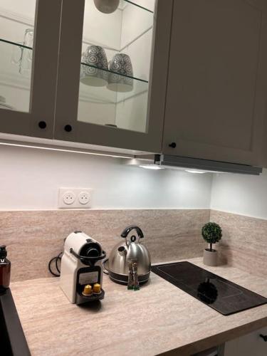 Il comprend une cuisine équipée d'un grille-pain et d'une bouilloire. dans l'établissement La perle du parc - Studio, à Rocquencourt