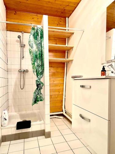 une salle de bain avec douche et baignoire dans l'établissement 2 T2 proche place Carnot BOX A BAGAGES GRATUITS, à Carcassonne