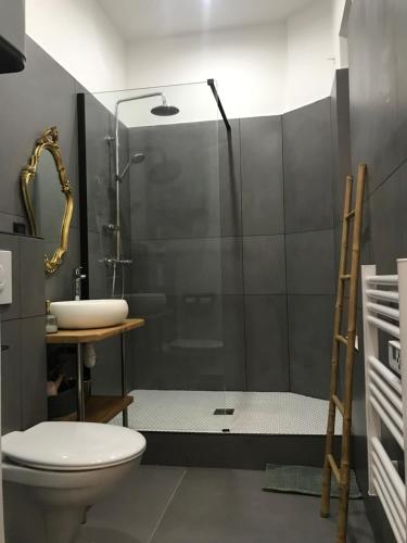 ein Badezimmer mit Dusche, Toilette und Waschbecken in der Unterkunft Bon'appart in Ajaccio