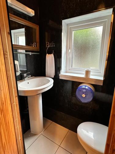 a bathroom with a sink and a window and a toilet at Malahide Guest Rooms in Malahide