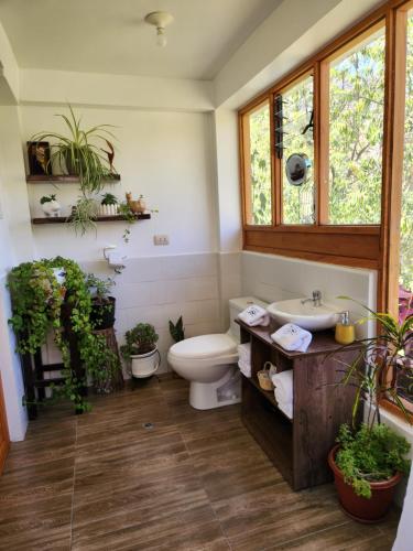 a bathroom with a toilet and a sink at Spirit Of The River Lodge in Cusco