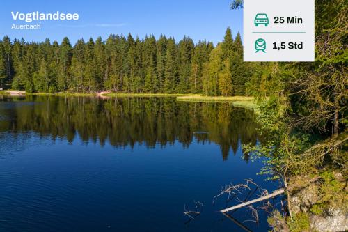 a picture of a lake with trees in the background at Familienwohnung im Vogtland in Lengenfeld