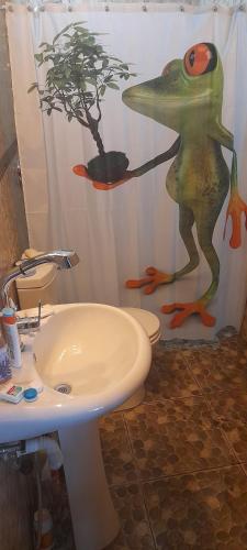 a bathroom with a frog on the shower curtain next to a sink at Pachamama Eco Lodge 