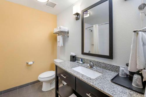 a bathroom with a sink and a toilet and a mirror at Sleep Inn & Suites Carlsbad Caverns Area in Carlsbad