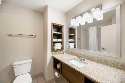a bathroom with a toilet and a sink and a mirror at Quality Inn & Suites Carlsbad Caverns Area in Carlsbad