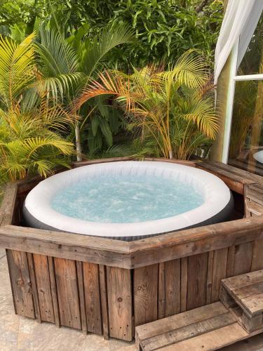 a jacuzzi tub in a garden with plants at Cabañas Los Tulipanes in La Mesa