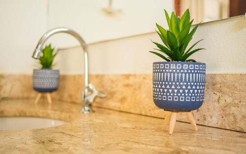 a kitchen counter with a sink with two potted plants at Pousada Reobote in São Miguel do Gostoso