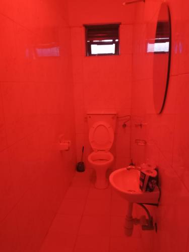 ein rotes Badezimmer mit WC und Waschbecken in der Unterkunft Perfect Visits Breakfast and Bed 