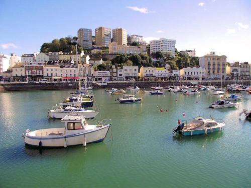 a group of boats are docked in a harbor at A home away from home in Torquay