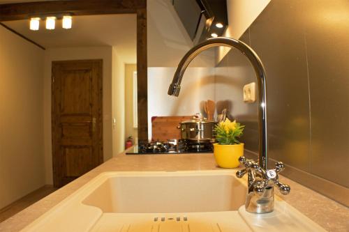 eine Küchenspüle mit einem Wasserhahn in der Küche in der Unterkunft Ferienhaus Stobenstrasse in Quedlinburg