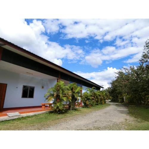 un bâtiment blanc avec des palmiers devant lui dans l'établissement Pernjai Homestay 2beds, à Pua